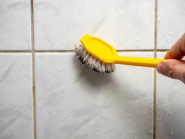 Best Same-Day Mold Removal  in Garland, UT