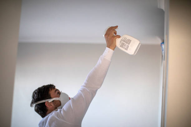 Best Certified Mold Removal  in Garland, UT