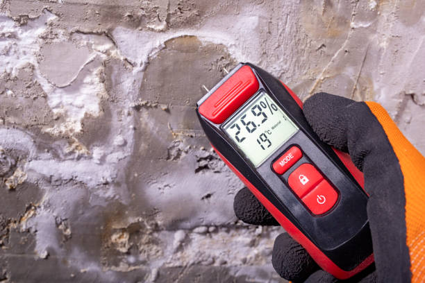 Best Residential Mold Removal  in Garland, UT