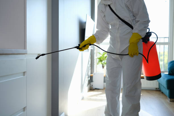 Best Crawl Space Mold Removal  in Garland, UT
