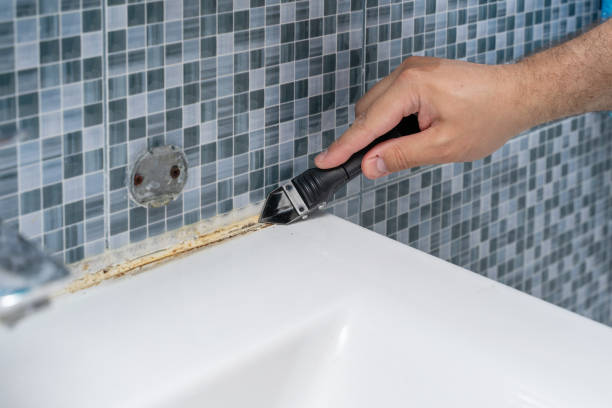 Best Emergency Mold Removal  in Garland, UT