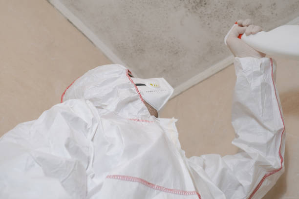 Best Mold Remediation  in Garland, UT